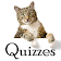 Cat Trivia icon