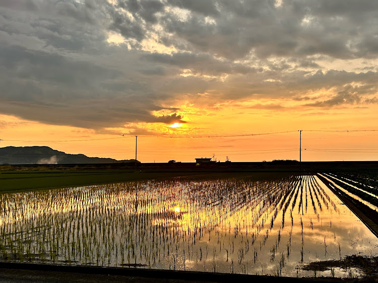 フォレスターの夕焼けと愛車・田園風景・5月なのに暑い😲💦・目指せピックアップ・ピックアップされない車に関するカスタム事例の投稿画像3枚目