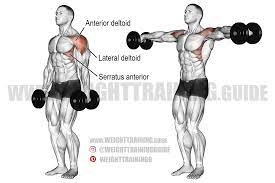 Dumbbell lateral raise exercise guide and video | Weight Training Guide