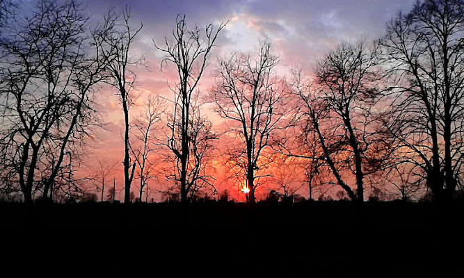 Che sensibilità il sole: arrossire tutte le sere al momento di tramontare. (Fabrizio Caramagna) di _Chiara_