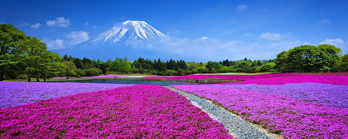 Mount Fuji, Japan 2560x1440 marquee promo image