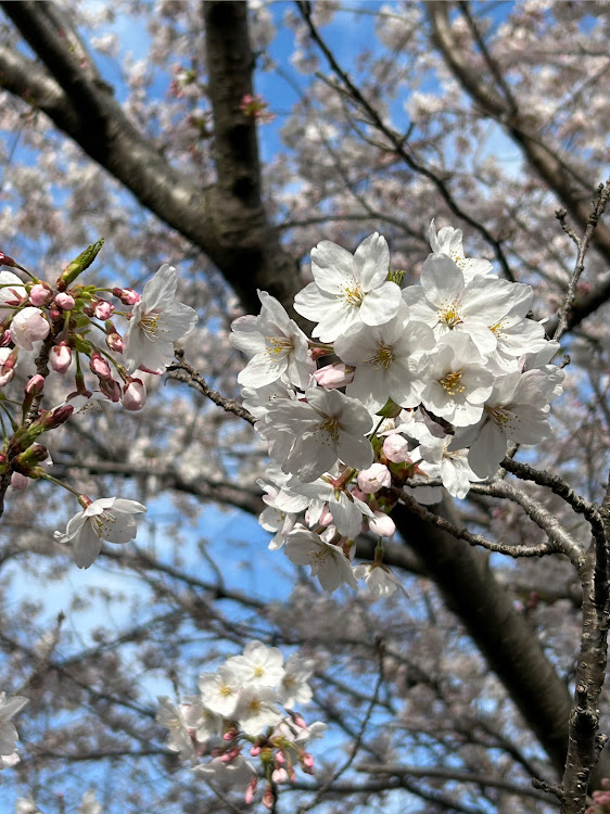 の投稿画像9枚目