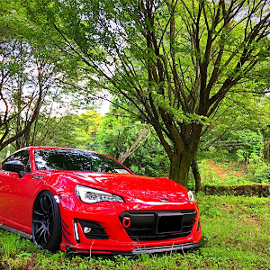 BRZ ZC6