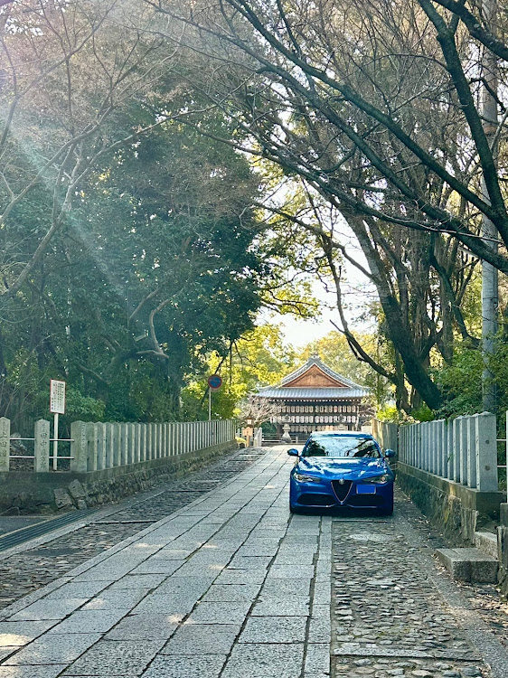 ジュリアの花粉症はつらいよ・3月もよろしくお願いします・ホワイトデー・拾い画像ですみませんに関するカスタム事例の投稿画像2枚目