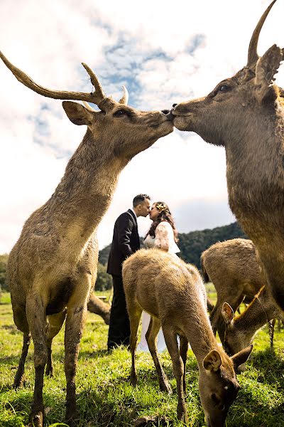 Fotógrafo de bodas Ivan Natadjaja (natadjaja). Foto del 15 de marzo 2018