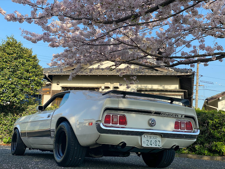 マスタング クーペの山口・下関・サクラと愛車・旧車・アメ車に関するカスタム事例の投稿画像2枚目