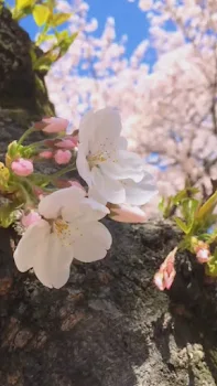 解決する方法