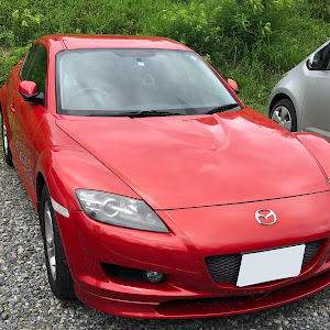 RX-8