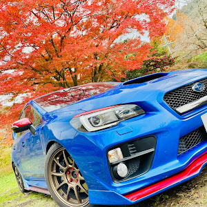 WRX STI VAB