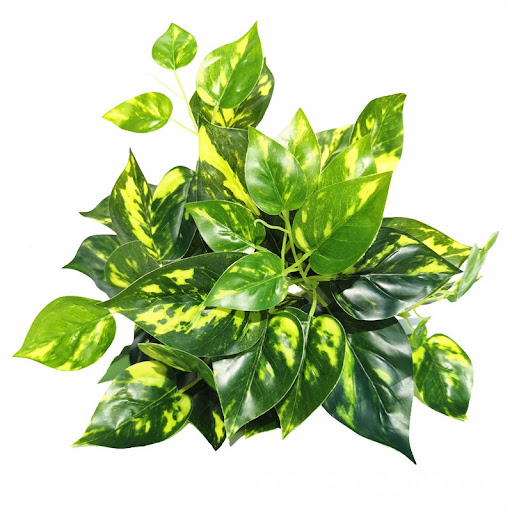 Title 12, Emulational Greenery Bonsai Large Leaf Plant Br...