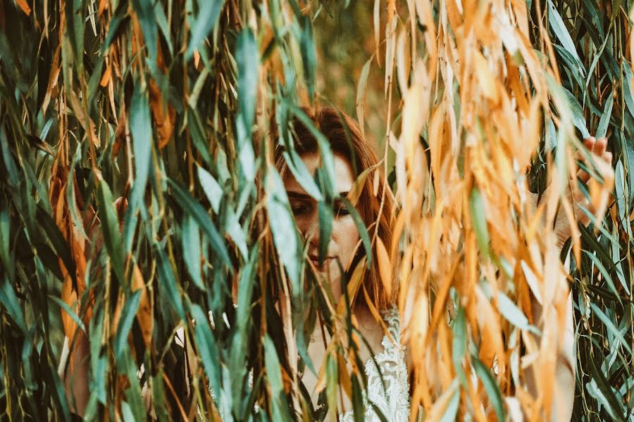 Fotografo di matrimoni Robert Czupryn (robertczupryn). Foto del 20 novembre 2018