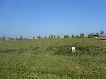 terrain à La Selle-sur-le-Bied (45)