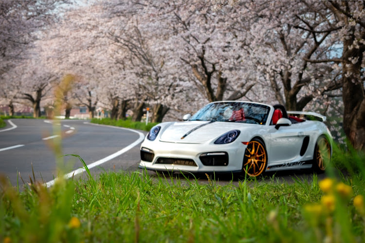 ボクスターのサクラと愛車・ボクスター・ポルシェ・桜・PSF2024であいましょうに関するカスタム事例の投稿画像3枚目