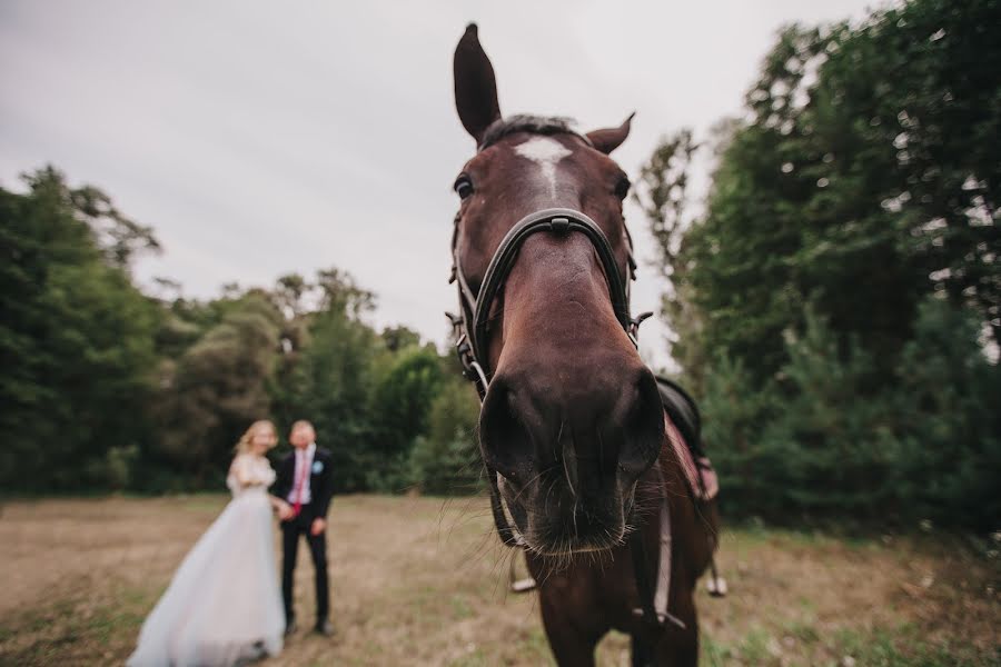 Hochzeitsfotograf Anna Nikiforova (nikiforova). Foto vom 29. September 2020