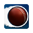 Cricket Games