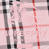 supreme®/burberry® regular jean ss22