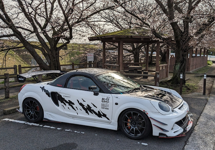 MR-Sの桜とコラボ・サクラと愛車・めざせPickupcarsに関するカスタム事例の投稿画像2枚目