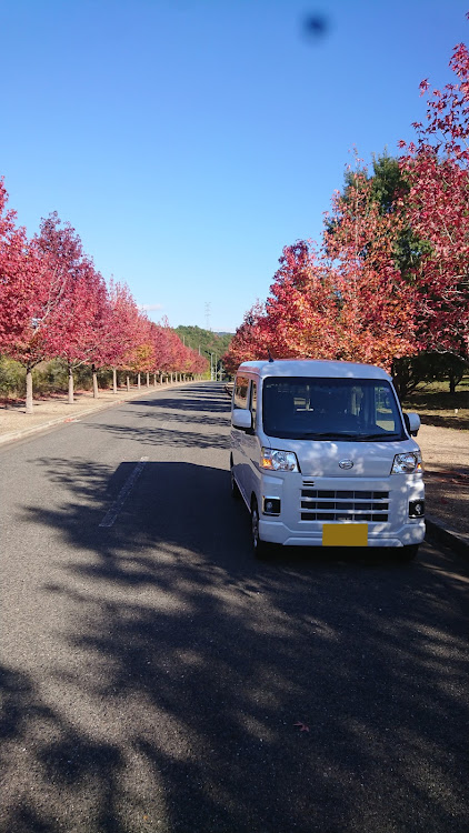 ハイゼットカーゴのYOSHIYAさんが投稿したカスタム事例の投稿画像1枚目