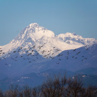 Verso la Montagna di 