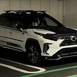 RAV4 AXAP54