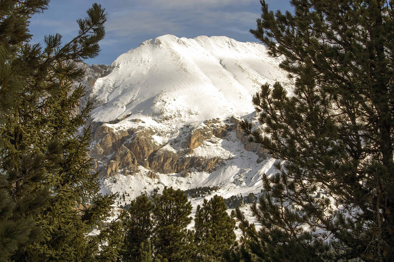 Cornice naturale di alessandro giglio