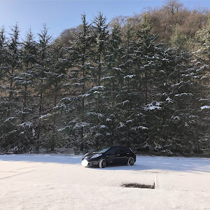 リーフ AZE0