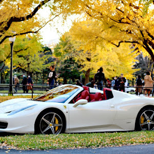 458スパイダー