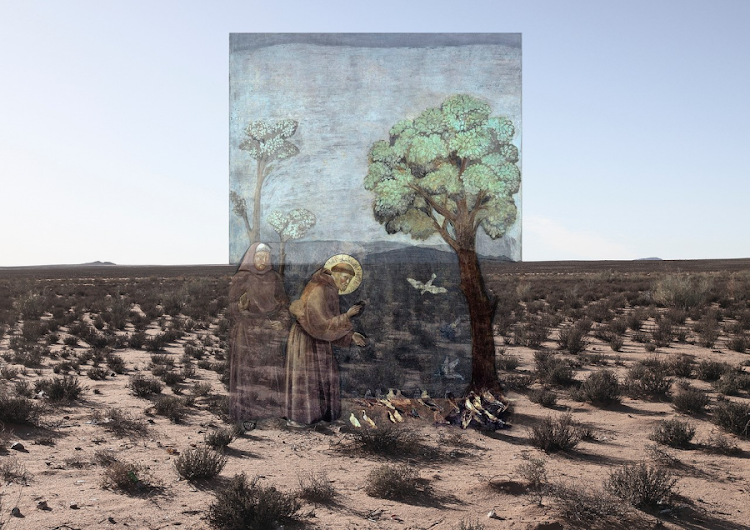 After Nature Lien Botha, In Afterland (Giotto) 2023. Image: Supplied