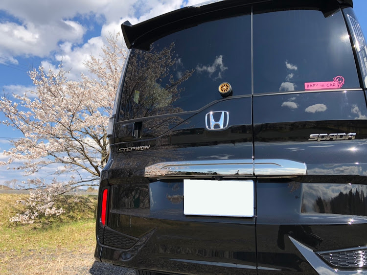 ステップワゴンスパーダの桜と愛車に関するカスタム事例の投稿画像2枚目