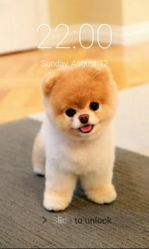 Puppy Dog Pattern Lock Screen Cute Puppy Passcode