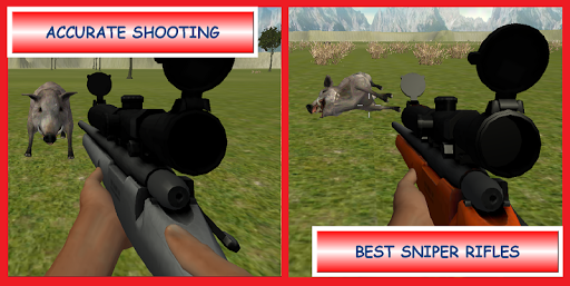 Télécharger Gratuit Sanglier Chasseur Sniper  APK MOD (Astuce) screenshots 4