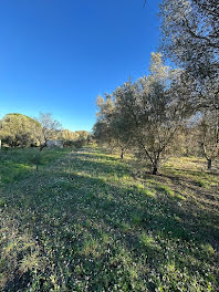 terrain à Roquebrune-sur-Argens (83)