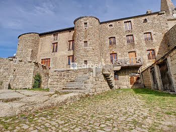 château à Thoras (43)