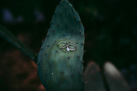 Fotógrafo de casamento Goran Kris (gorankris). Foto de 29 de julho 2022