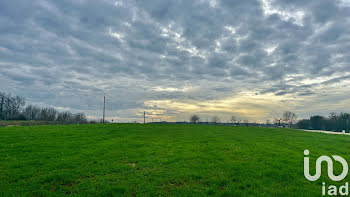 terrain à Merignac (17)