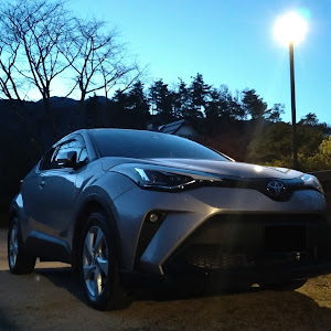 C-HR NGX50