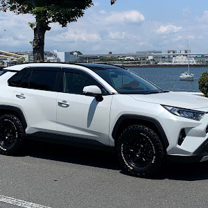 RAV4 MXAA54