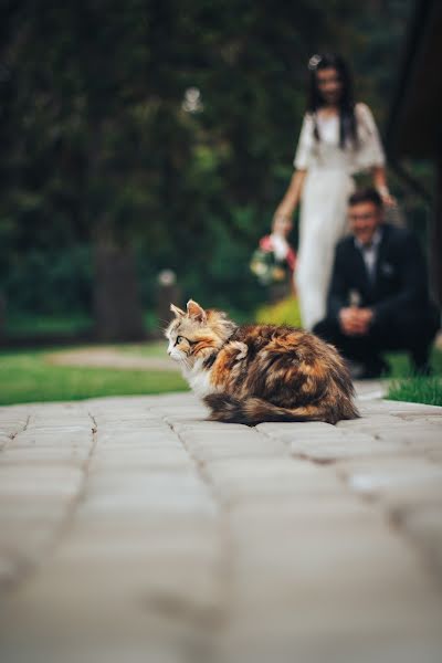 Wedding photographer Yaroslav Shinderuk (shynderukfree). Photo of 4 September 2019