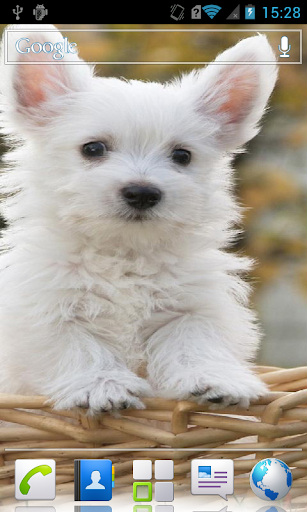 Puppies HD Live Wallpaper