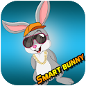 Smart Bunny icon