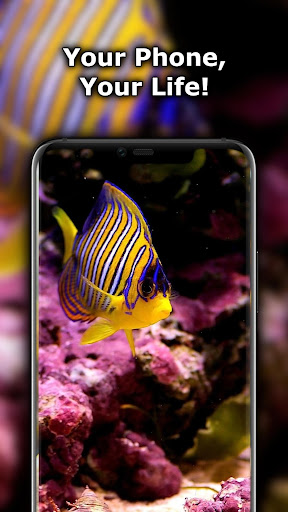 Aquarium Wallpaper App Store Data Revenue Download Estimates On