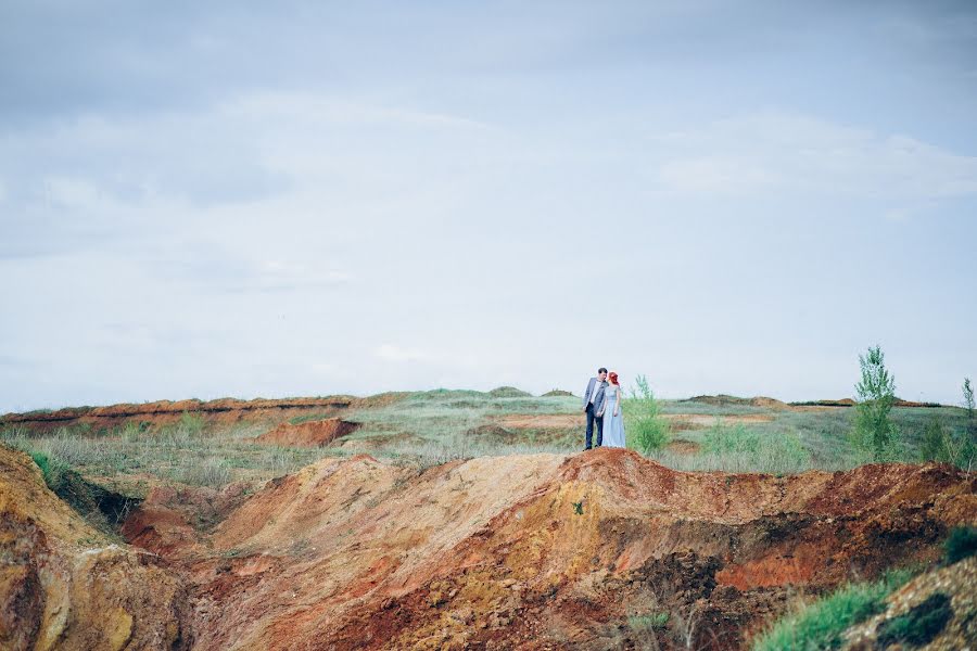 結婚式の写真家Ekaterina Shteynberg (steinberg)。2016 2月13日の写真