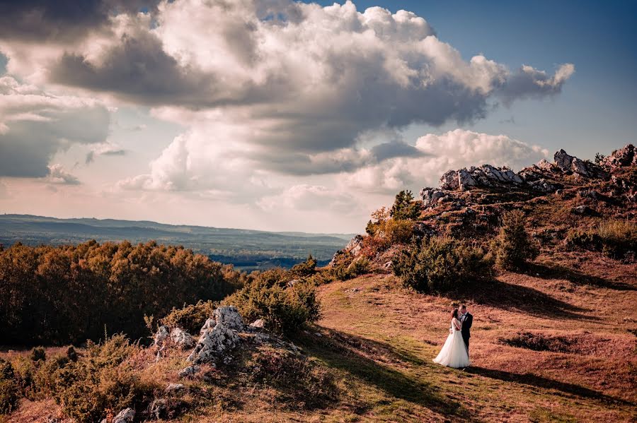 Fotografo di matrimoni Ewa Cienkusz (ewacienkusz). Foto del 12 ottobre 2020