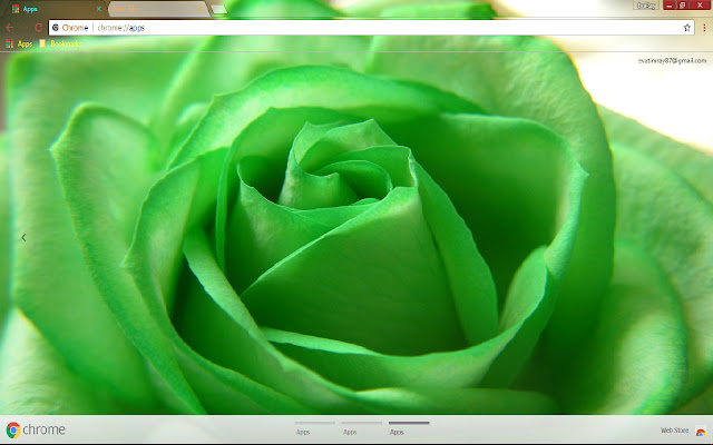 Flower Green Pastel Rose chrome extension