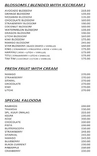 Agrawal's Juice N Fast Food menu 7