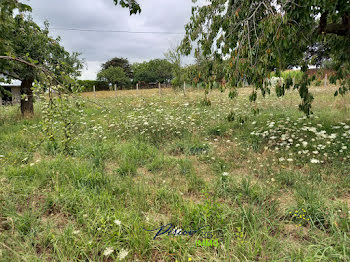 terrain à Baugé-en-Anjou (49)