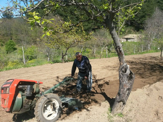 Papà al lavoro..... di Bitonti Photo