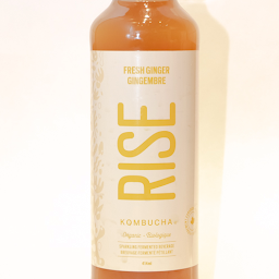 Ginger RISE Kombucha