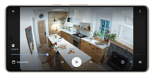 L'historique des événements dans l'application Google Home montre le chien en train de prendre un biscuit sur le plan de travail de la cuisine.