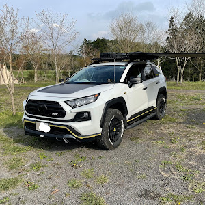 RAV4 MXAA54